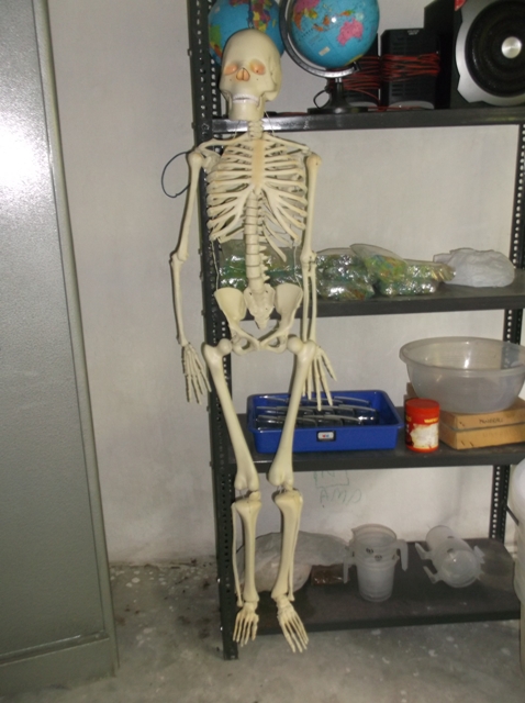 ...