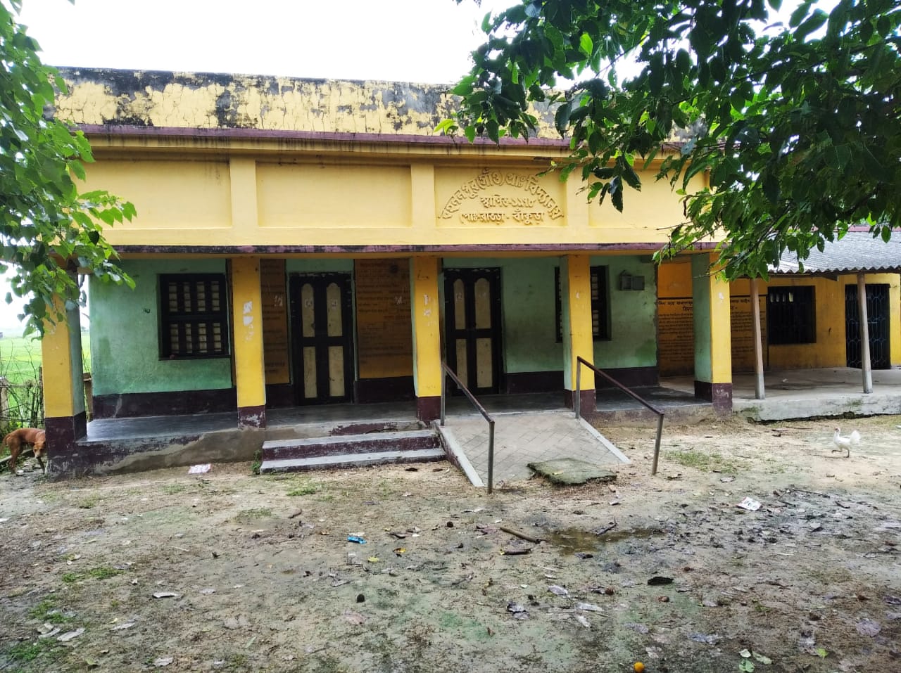 ...