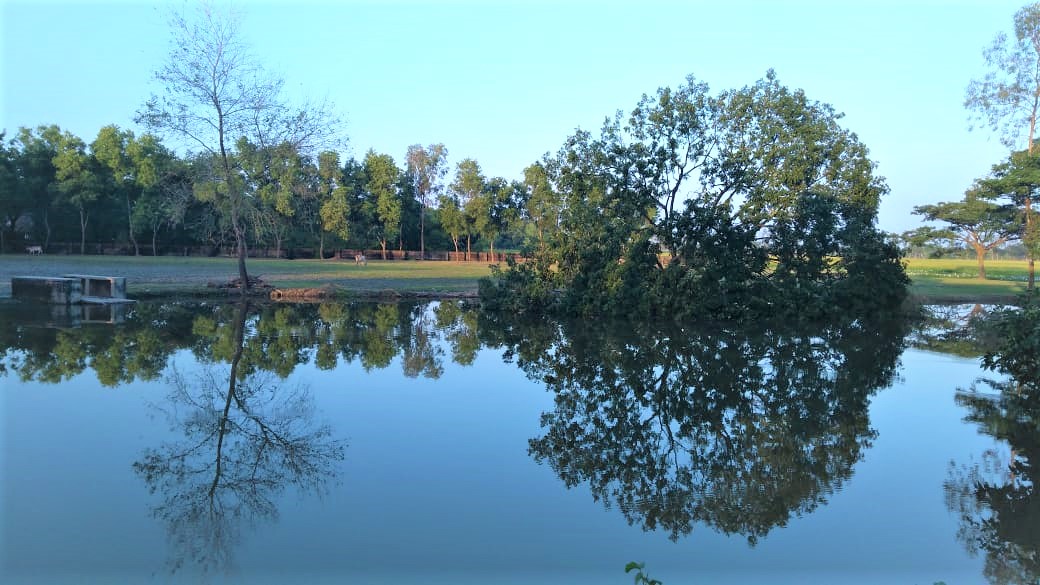 ...